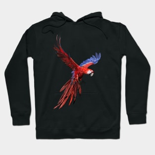 Guacamayo Rojo Hoodie